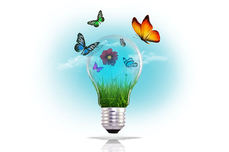 corel photo editing software corel photo editing software