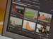 newegg