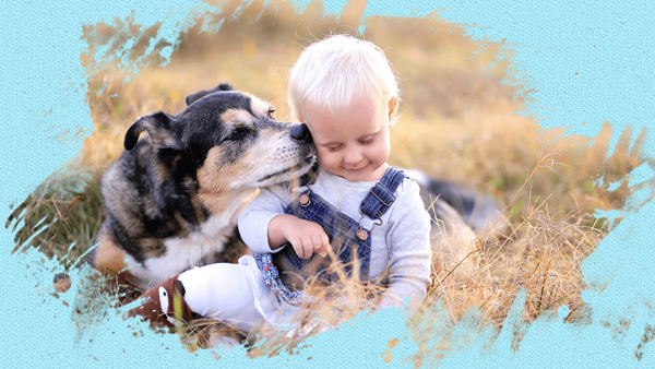 A boy closes his eyes while a puppy kiss him in the cheek in the field and the picture is added with painterly effect