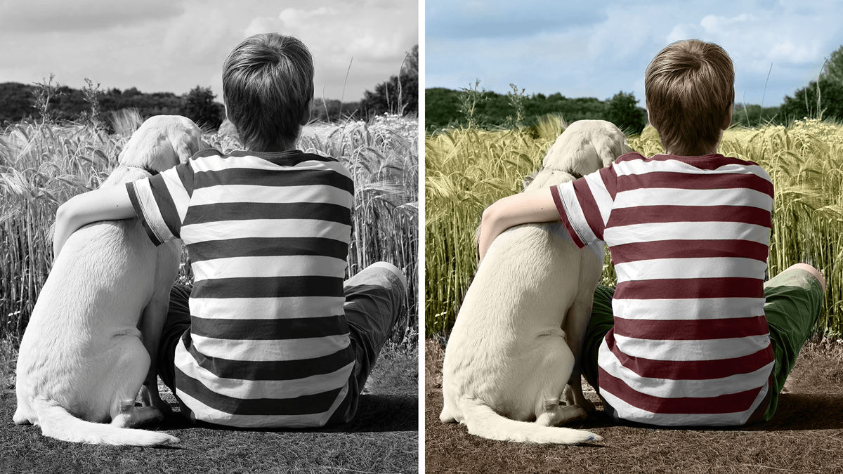 A comparison between a black and white picture and a colorized picture on which a boy is sitting with a dog with an around it