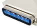 newegg