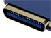 newegg