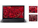 newegg