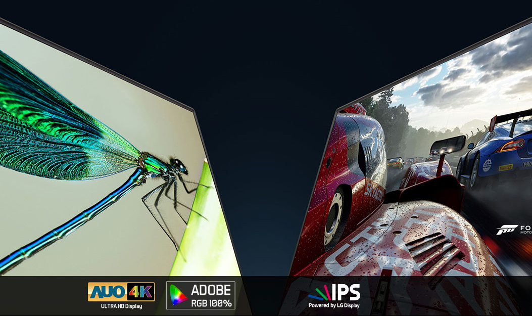 Two Aero Gaming Laptop Displays facing towards each other, one shows a highly detailed closeup of an insect on a plant and the other shows a closeup screenshot of Forza motorsport. Below the displays are logos for: AUO 4K ULTRA HD Display, Adobe RGB 100% and IPS powered by LG Display