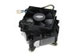 newegg