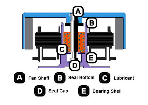 hydraulic bearing