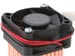 newegg