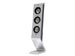 newegg
