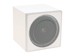 newegg
