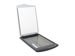 newegg