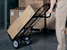 newegg