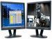newegg