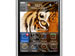 newegg
