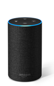 Echo