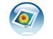 newegg