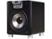 newegg