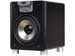 newegg
