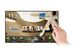 newegg
