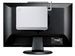 newegg