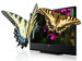 newegg