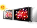 newegg