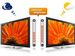 newegg