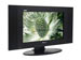 newegg