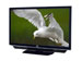 newegg