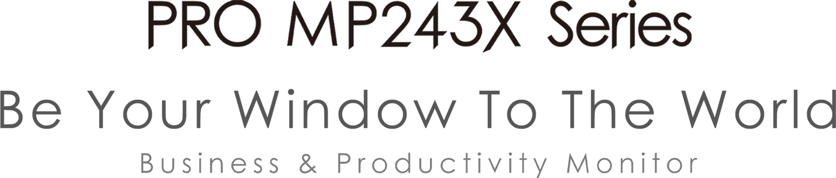 PRO MP243X BUSINESS PRODUCTIVITY MONITOR