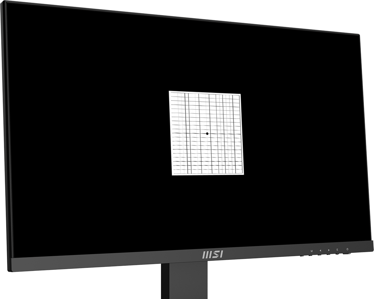 PRO MP243X BUSINESS PRODUCTIVITY MONITOR