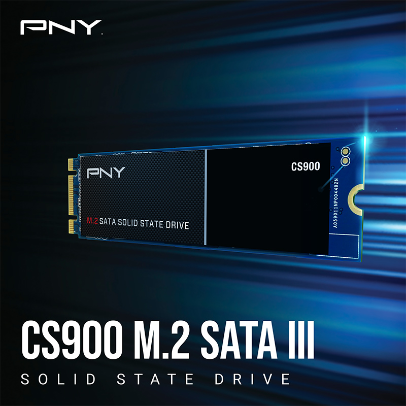 Teoretisk Flourish Ensomhed PNY CS900 1TB M.2 SATA III Internal Solid State Drive (SSD) -  M280CS900-1TB-RB Internal SSDs - Newegg.com