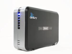    Cavalry 2 Bay RAID Disk Array (RAID 1) USB 2.0/FireWire 