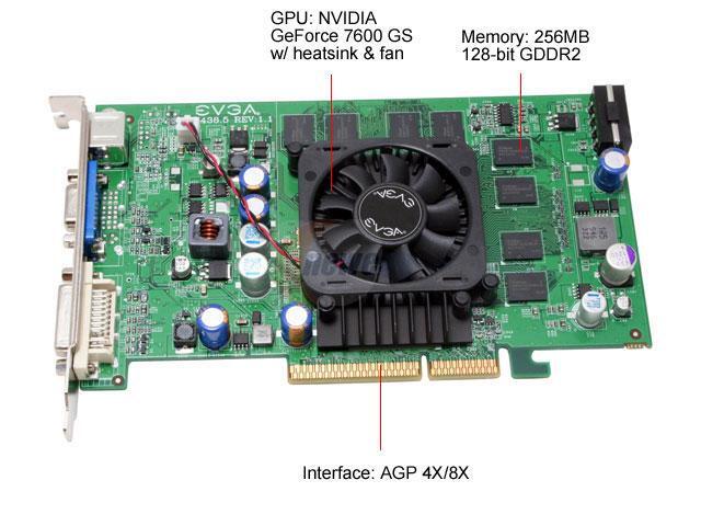 newegg