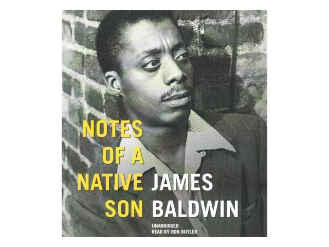 native son essays