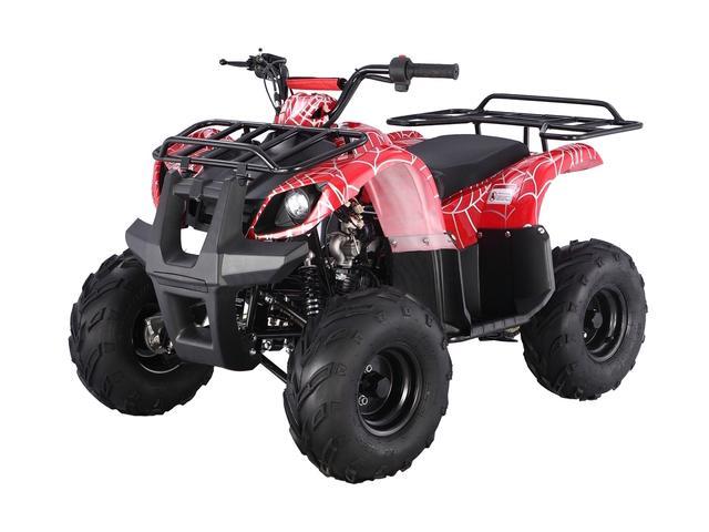 Tao Tao 125cc Ata125d Atv