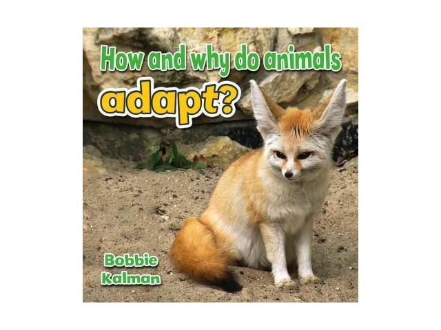 how-and-why-do-animals-adapt-all-about-animals-close-up-newegg