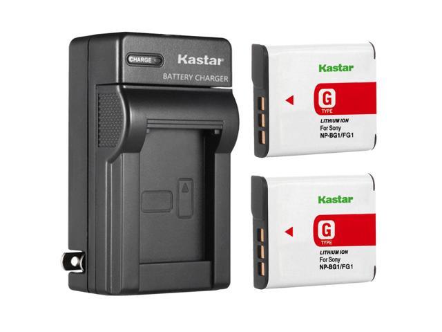 Digital Camera Batteries & Chargers