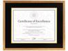 DAX Hardwood Document/Certificate Frame 11 X 14, Antiqued Gold Leaf 1511T