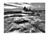 B&W Rushing Tides Poster Print by Nish Nalbandian (19 x 13)