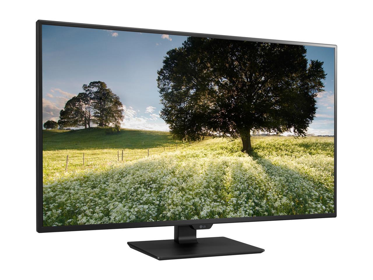 LG 43MU79B Matte Black 43" (42.51" Diagonal) UHD 3840 x 2160 4K