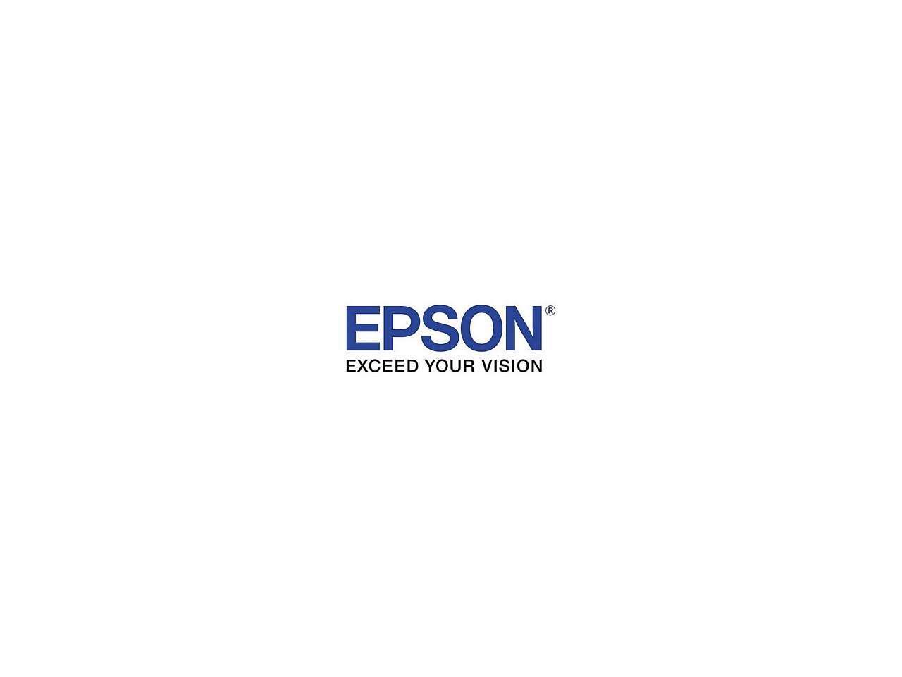 EPSON S045252 Выставочный холст, сатин, 44 x 40 футов. Рулон