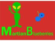 Martian Blueberries