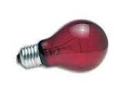 Zoo Med Nightlight Red Reptile Bulb 100 Watt