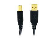 AXIS 12 0081 10 ft. A Male to B Male USB 2.0 Cable