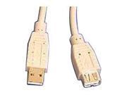 APC 19005 10 10 FT USB 1.1 EXTENSION Cable