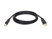 Tripp Lite U022 010 10 ft. USB 2.0 Gold A B Device Cable