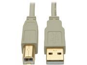 Tripp Lite 15 ft. USB 2.0 Hi Speed A B Cable M M 28 24 AWG 480 Mbps Beige 15 U022 015 BE