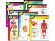 Learning Chart Combo Pack The Human Body 17W X 22H 7 Pack
