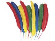 Quill Feathers Assorted Colors 24 Feathers Pack