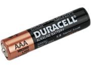 Coppertop Alkaline Batteries With Duralock Power Preserve Technology